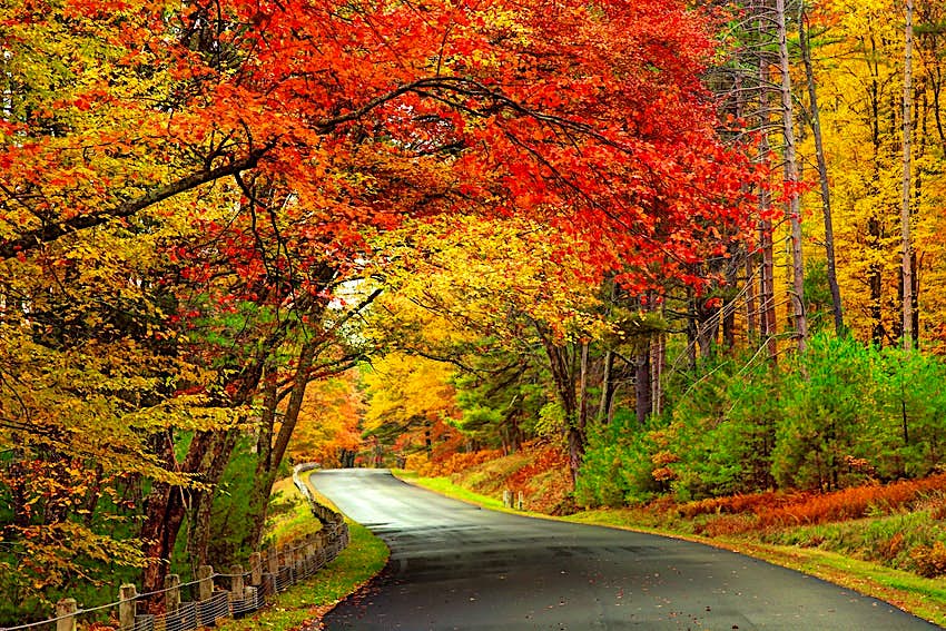 The ultimate New England fall foliage road trip Lonely